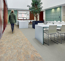 Forbo Marmoleum Decibel on Order 340535 Granada фото 2 | FLOORDEALER
